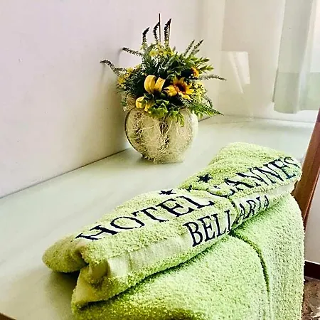 Cannes Otel Bellaria-Igea Marina